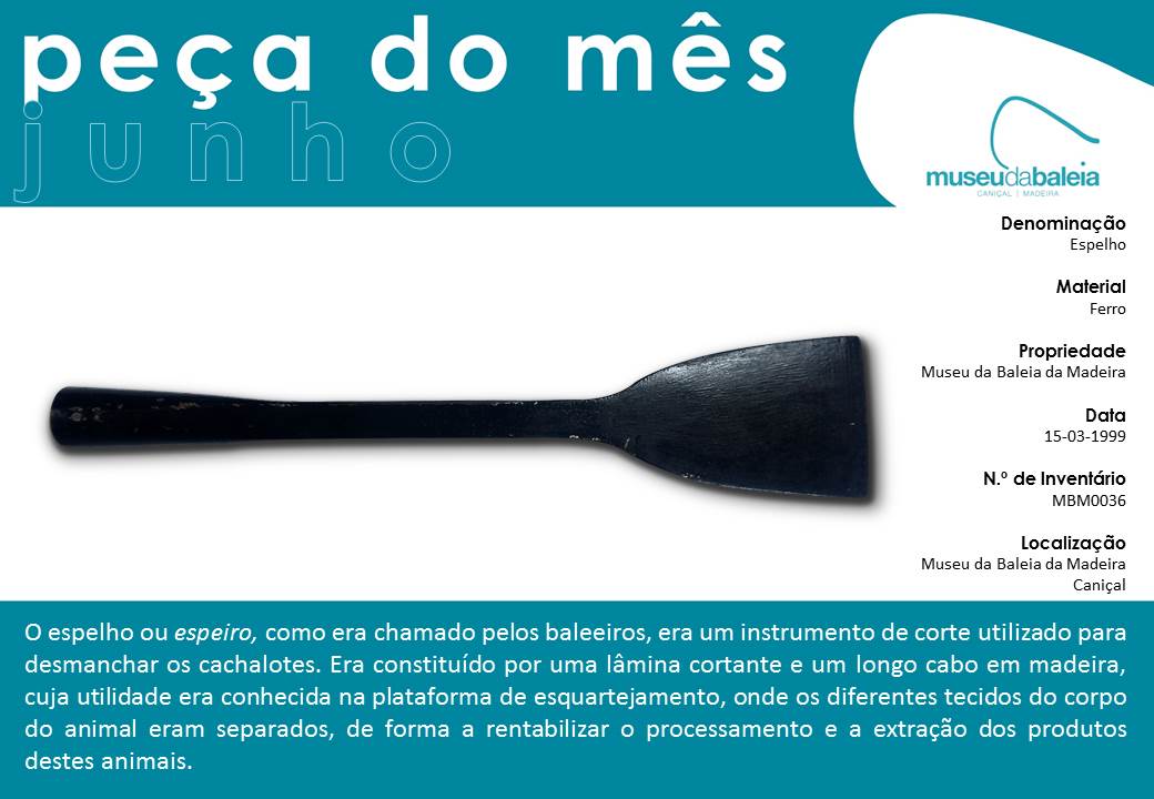 peçadomêsdejunho