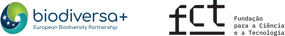 MPA4 logos tabela