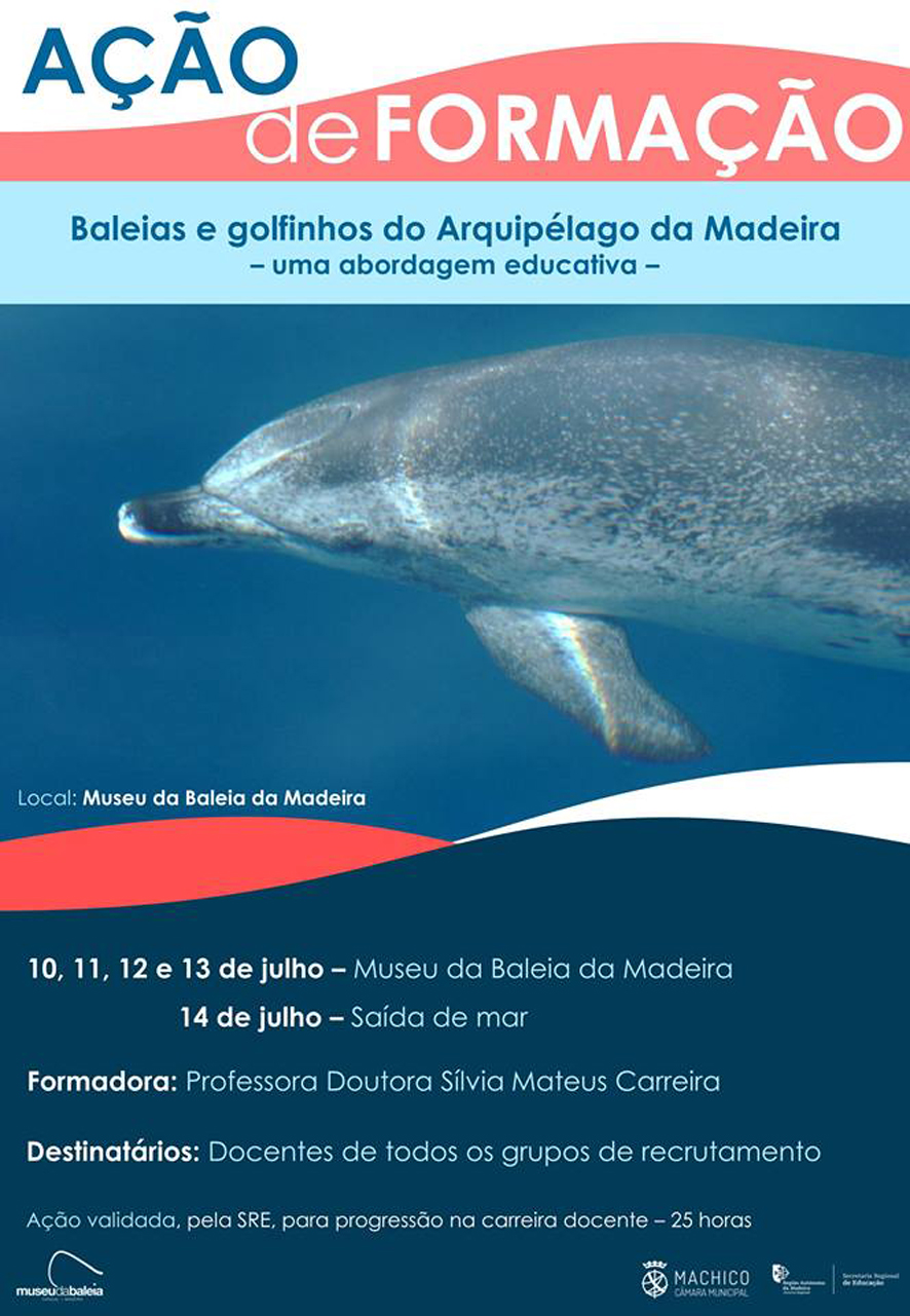 1. Imagem CAPA