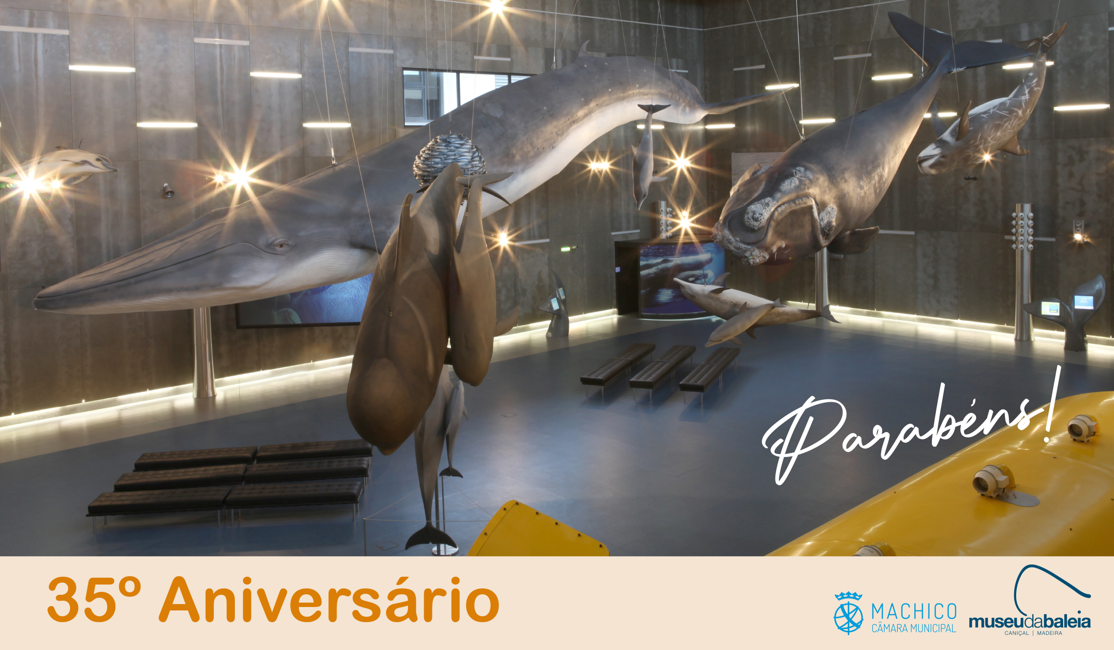 35 aniversrio