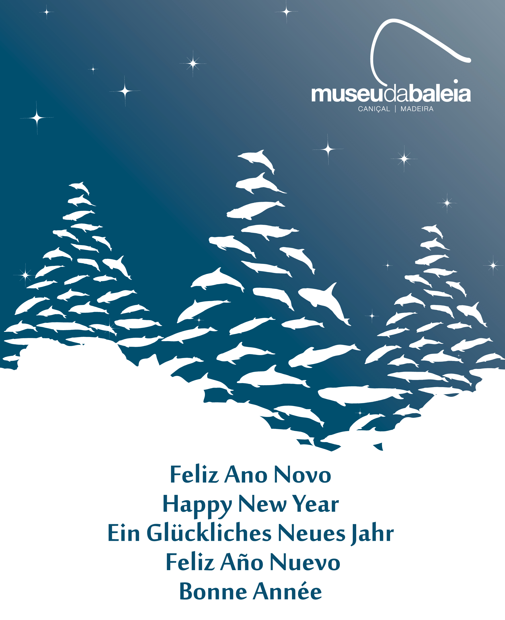 Ano Novo - 2019