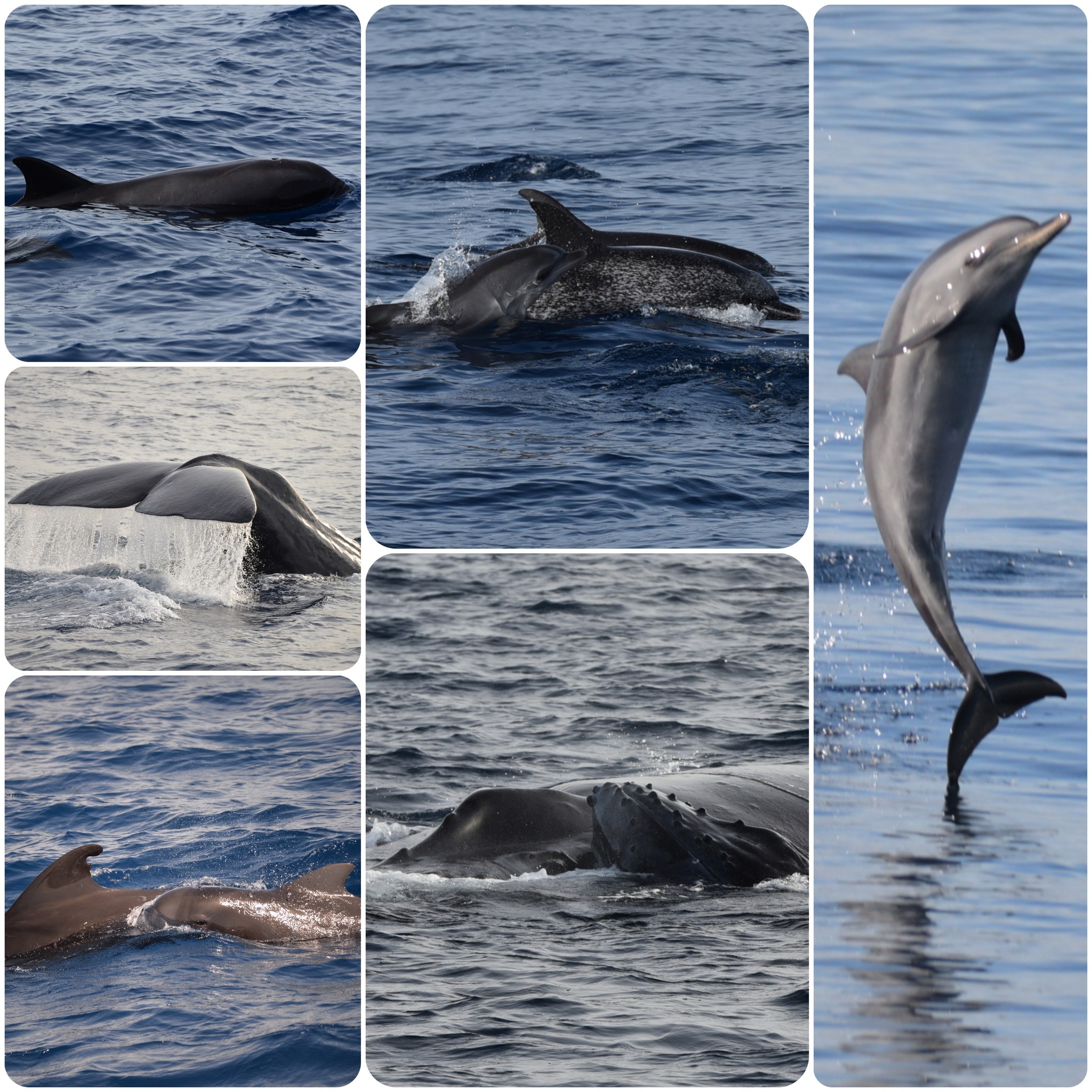 Cabo verde2