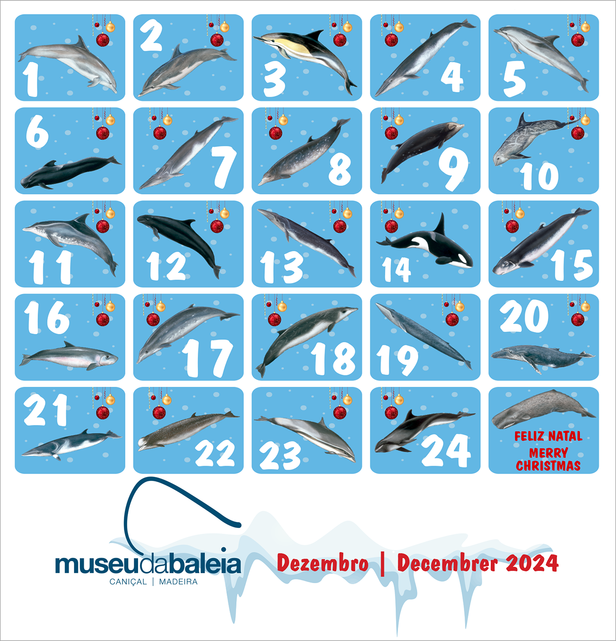 Calendrio Advento1