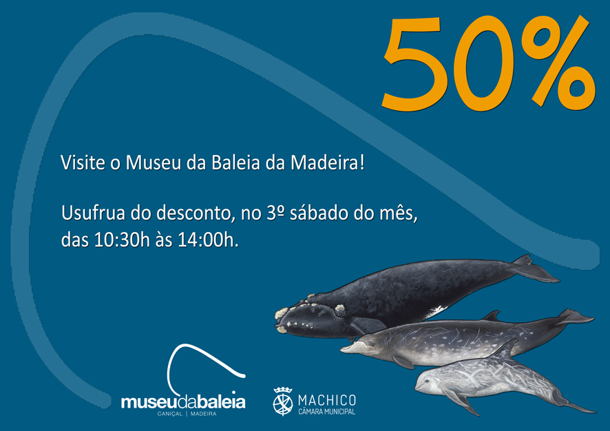 Cartaz 50 2017