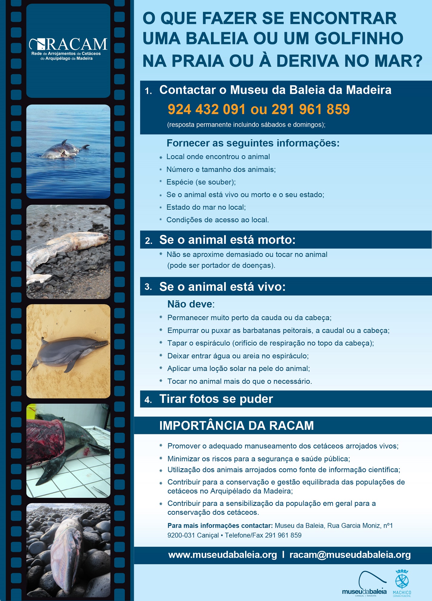 Cartaz RACAM novo