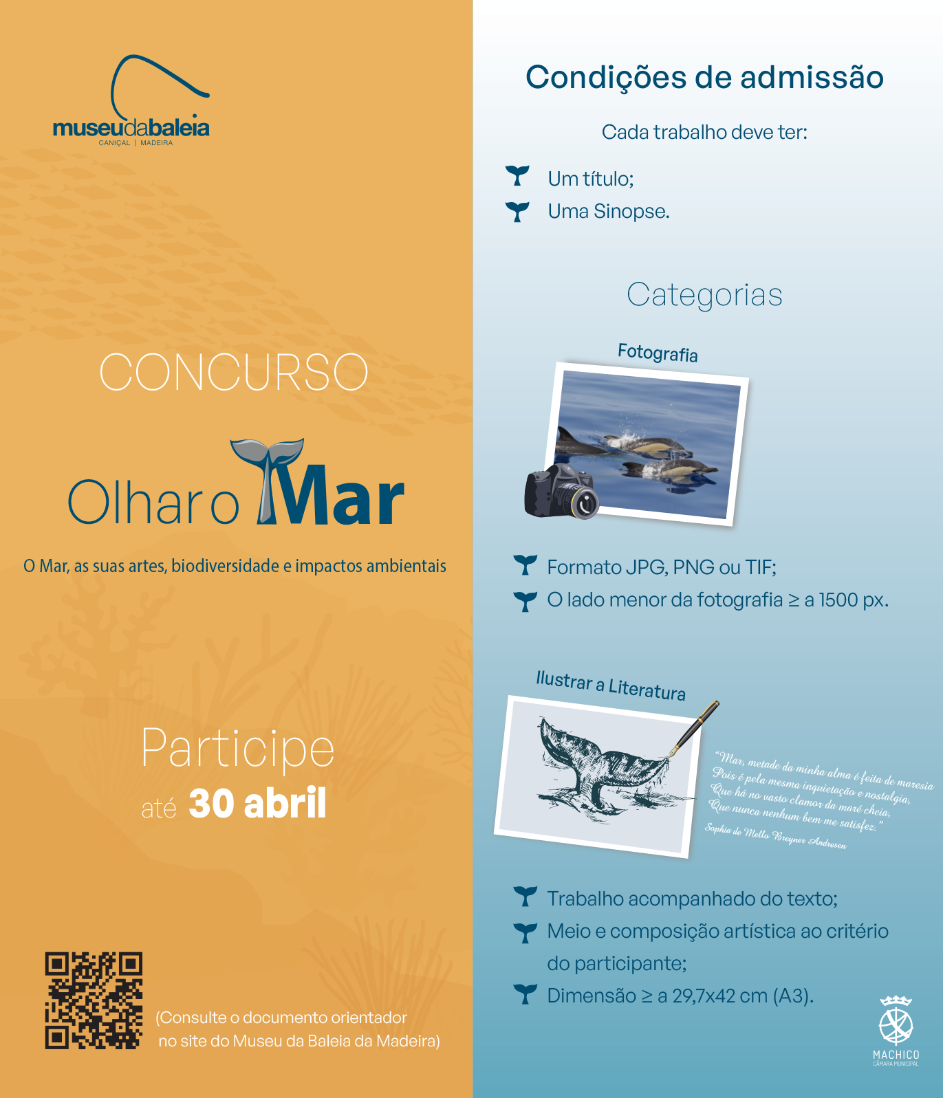 Cartaz condicoes