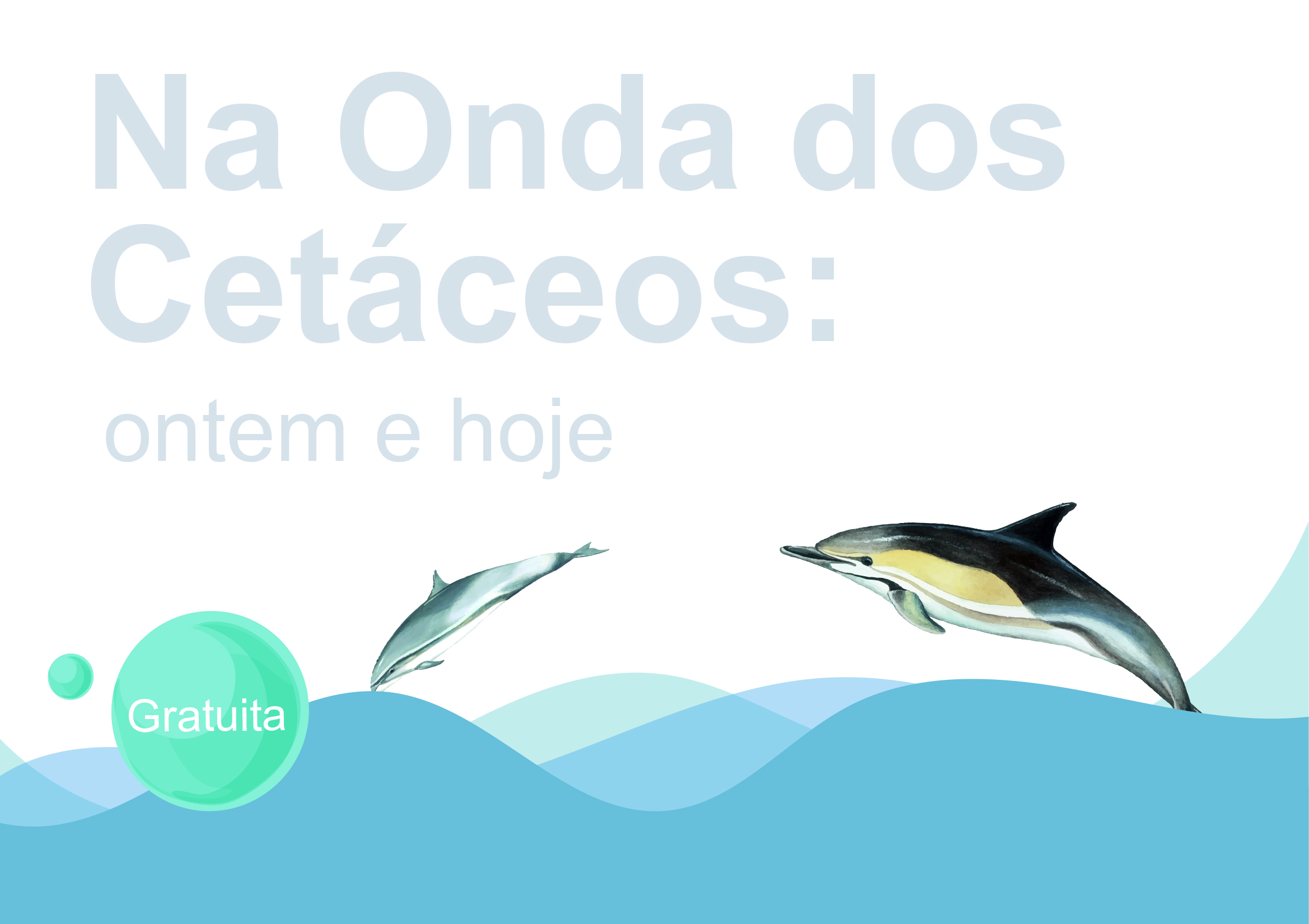 Na onda dos Cetceos