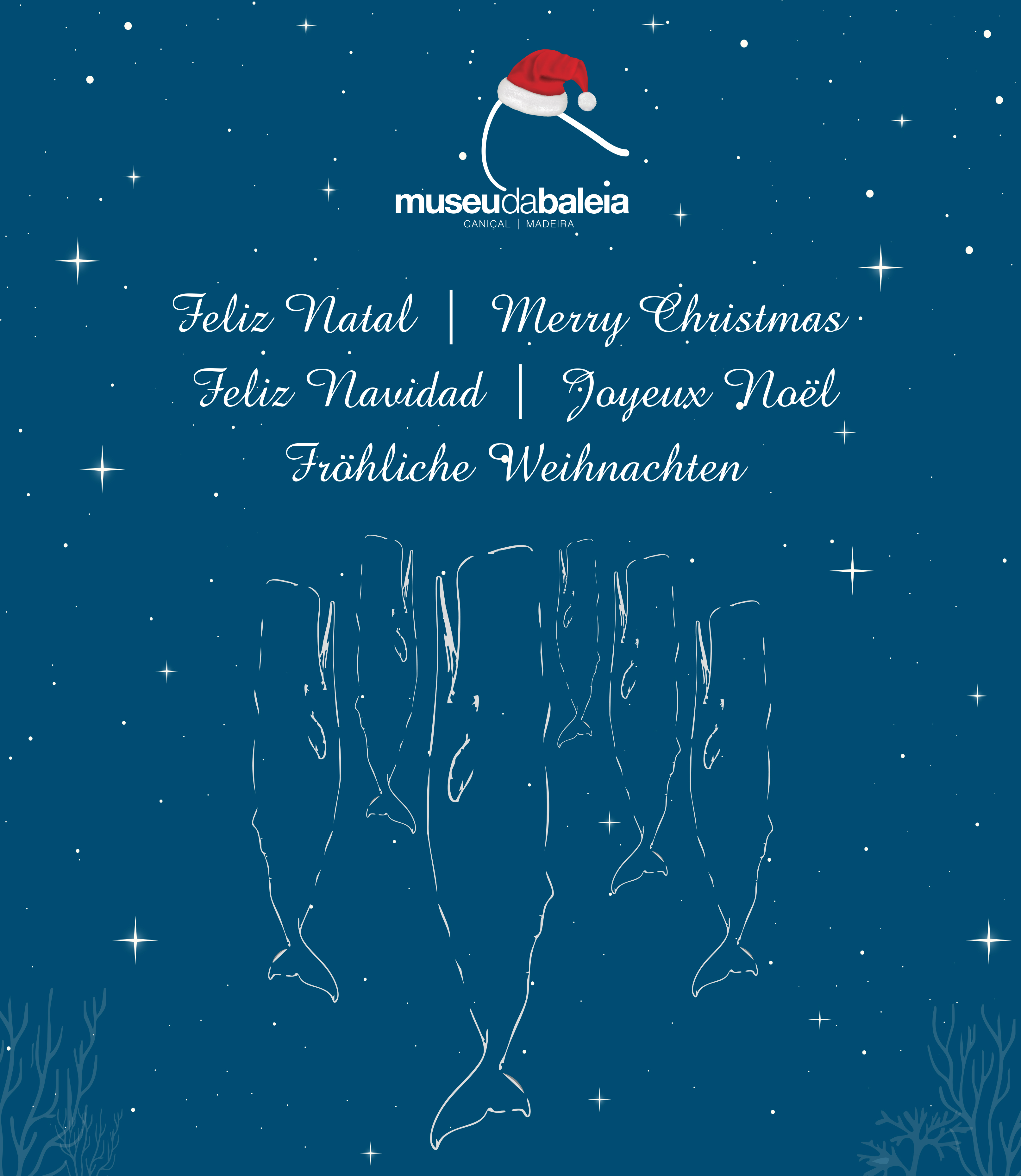 Natal 2025