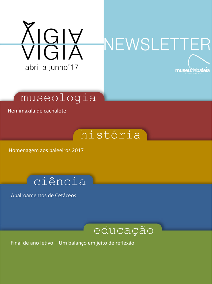 Newsletter 2 trimestre 1