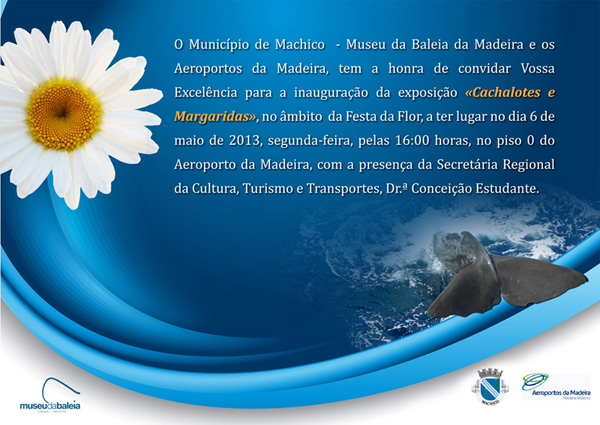 Convite Cachalotes e Margaridas no Aeroporto