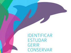 flyer-cetaceos