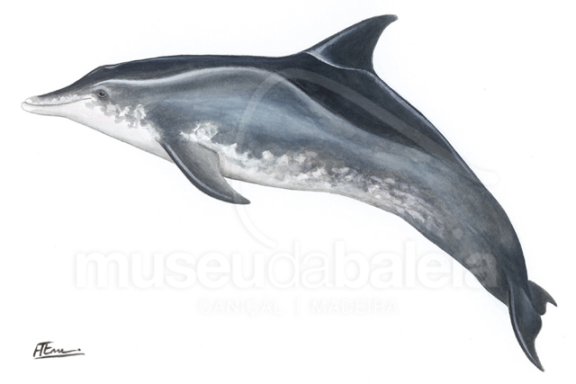 Caldeirão