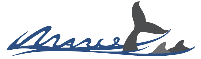 MarcetII