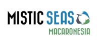 Mistic Seas