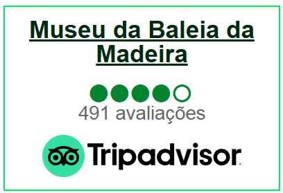 trip avali
